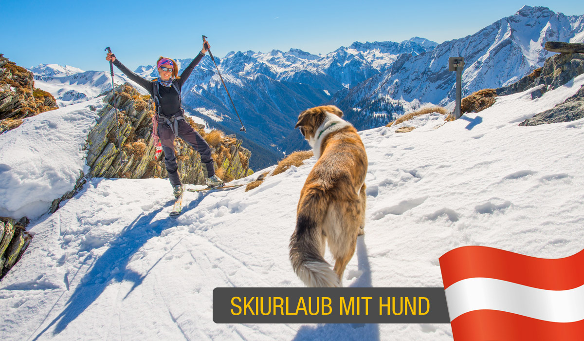 Skiurlaub mit Hund